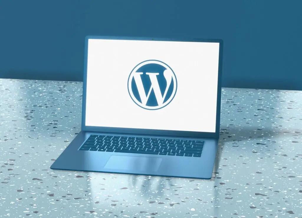 Process of Building a Custom WordPress Website