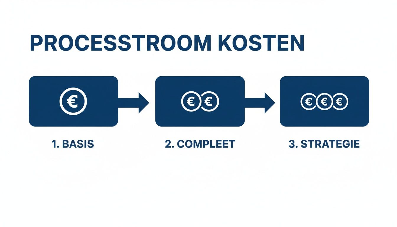 Visualisatie van kostenprocessen in drie stappen: Basis, Compleet en Strategie, met toenemende euro symbolen.