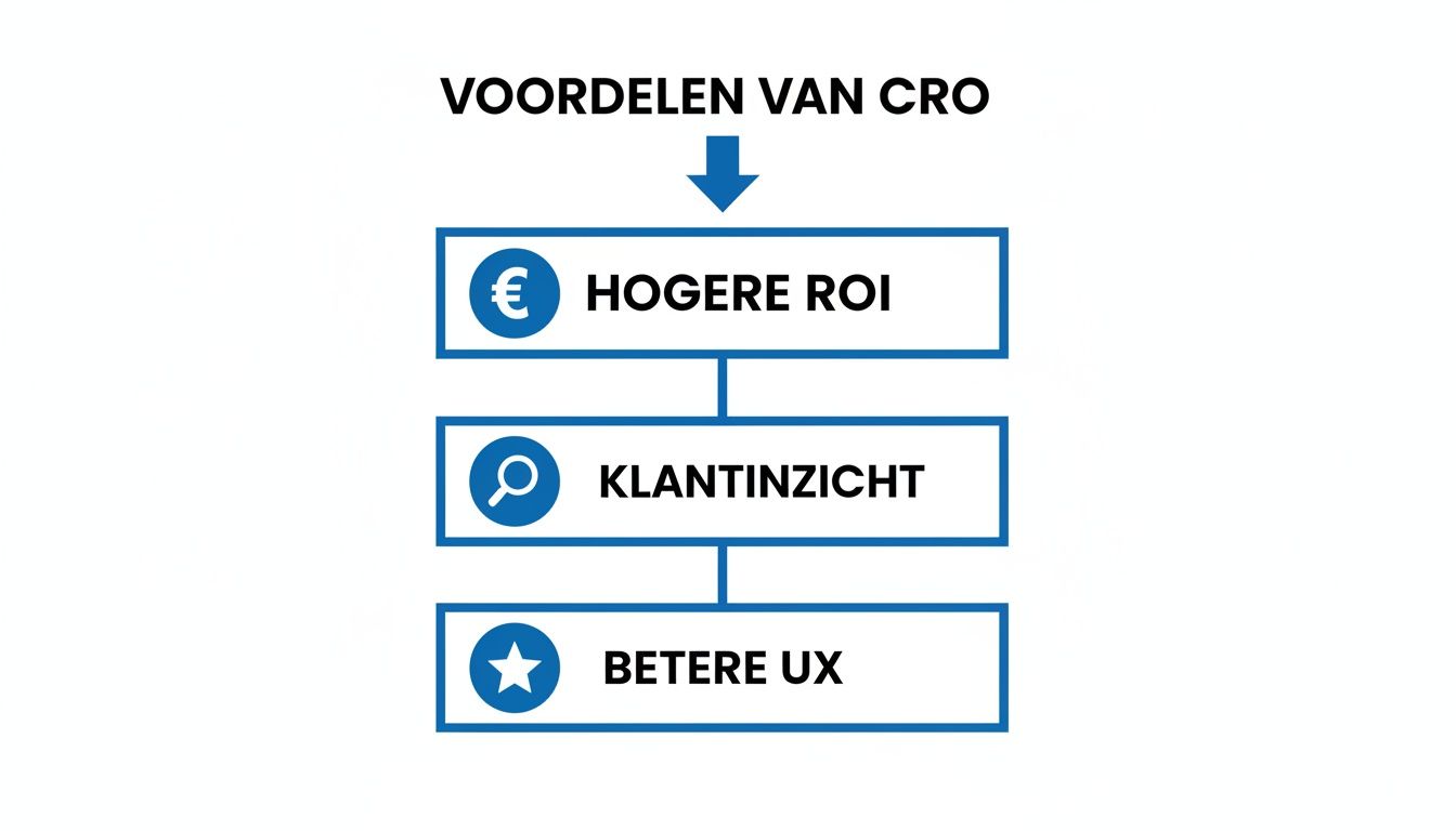 Diagram met de voordelen van CRO: hogere ROI, klantinzicht en betere UX.