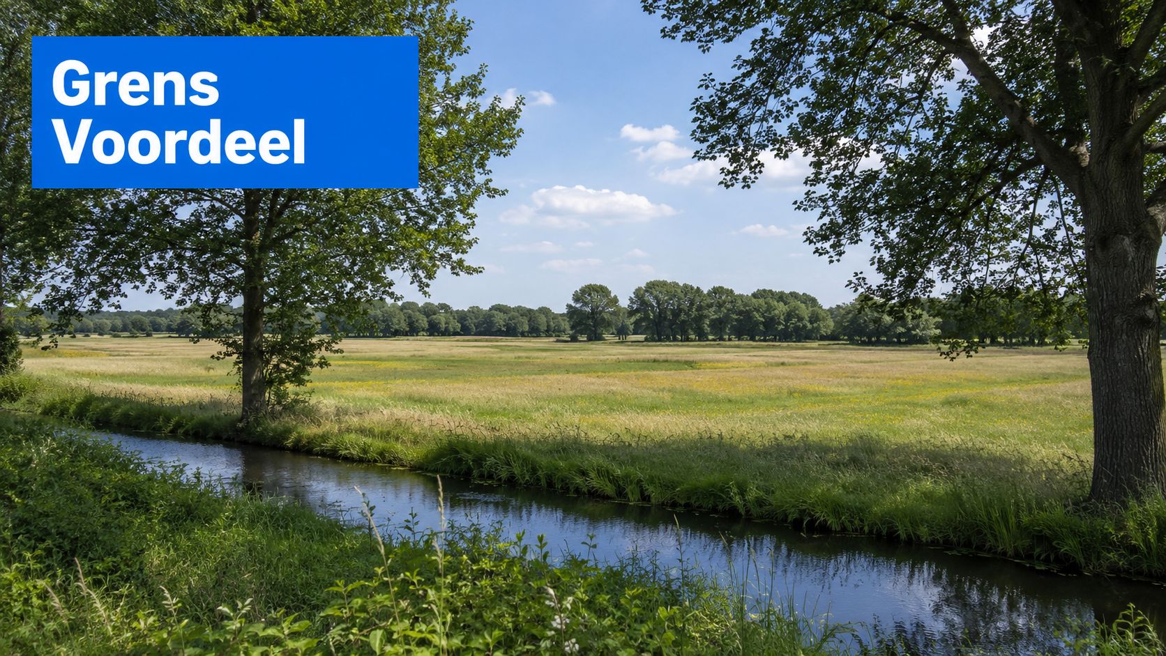 Een rustiek Nederlands landschap met een beekje door een groen grasland en bomen op de achtergrond.